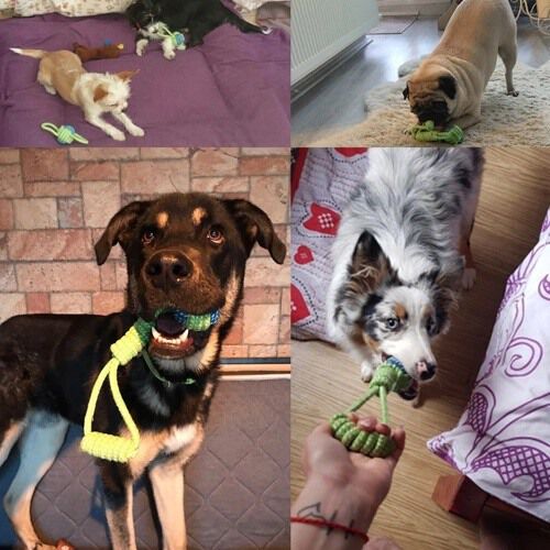 Set juguetes de cuerda para perro color Verde, , large Imagen numero 4