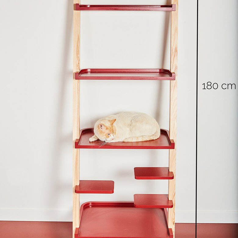Estantería de madera para gatos centro de juegos color Ébano, , large image number null