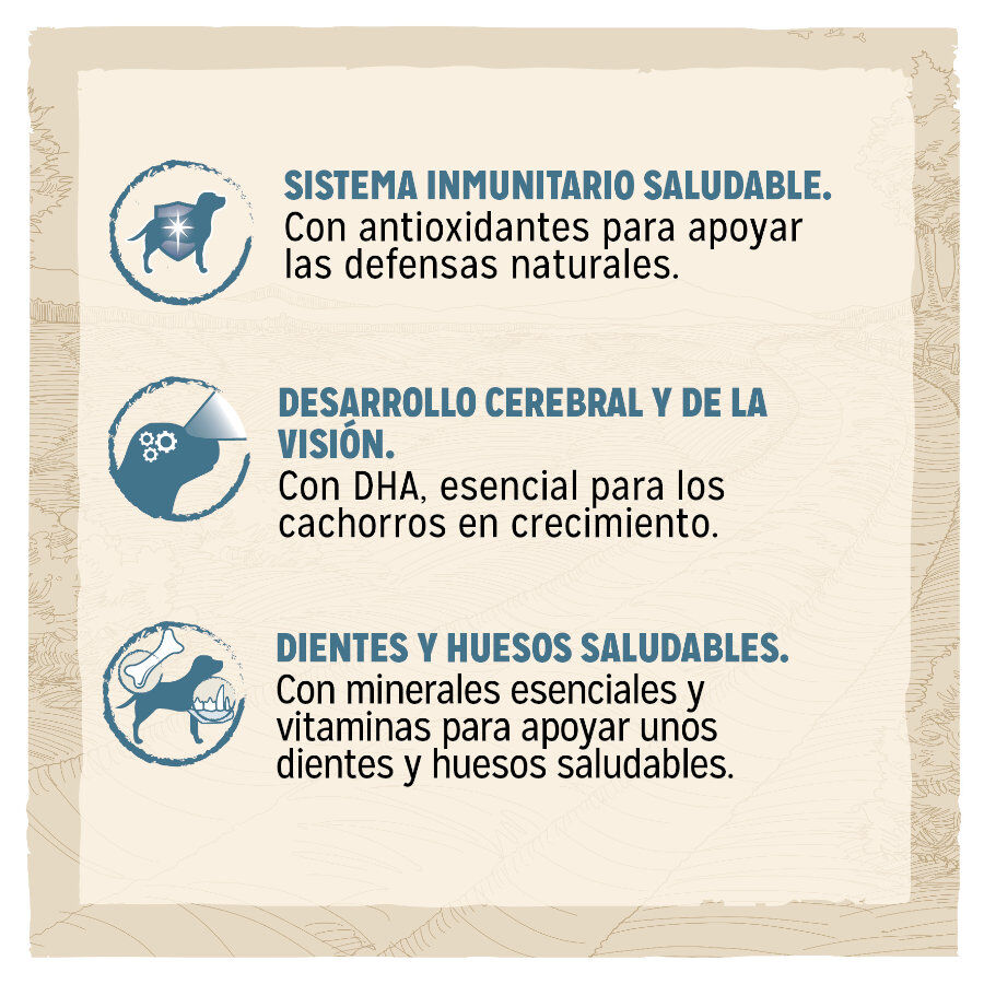 Dog Chow Puppy Pollo pienso para cachorros thumbnail