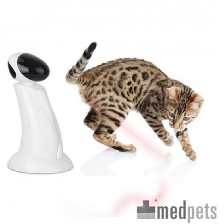 Juguete interactivo con rayo laser para gatos, , large image number null