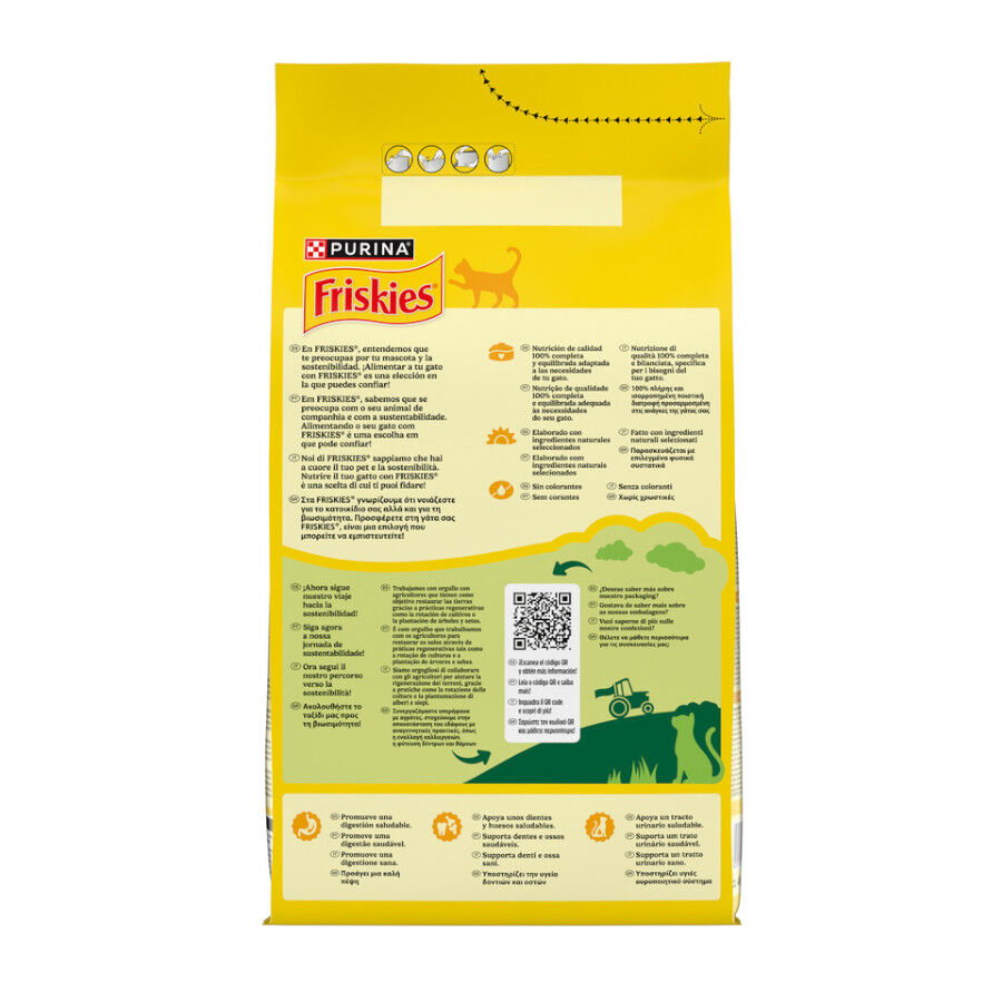 4 kg Purina Friskies Adult Pienso para gatos con salm&oacute;n y verduras, , large Imagen numero 8
