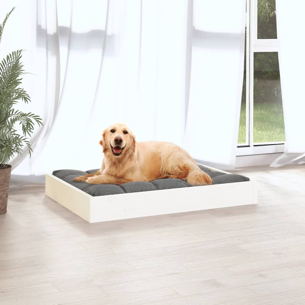 Cama Para Perros, , large Imagen numero 17
