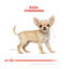 1.5 kg Royal Canin Puppy Chihuahua pienso para cachorros, , large indicador imagen numero 4