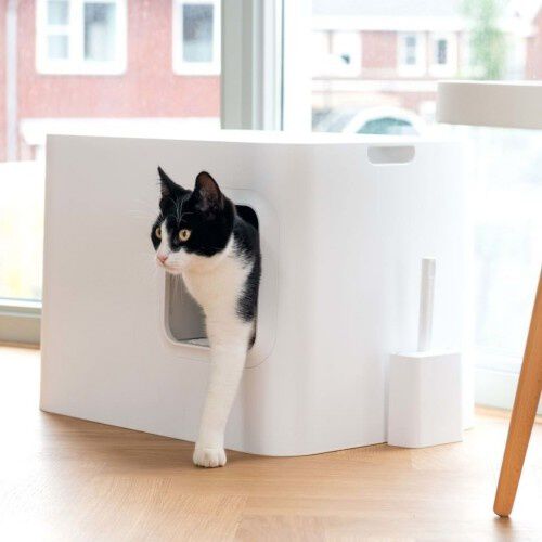 Caja con sale arena para gatos