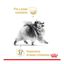 Royal Canin Pomeranian Adult pienso para perros, , large indicador imagen numero 2