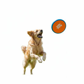 All For Paws Wag Play Juguete Frisbee Volador para perros