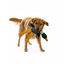 LOVE THE EARTH Peluche Resistente Pato con Sonido para perros, , large indicador imagen numero 4