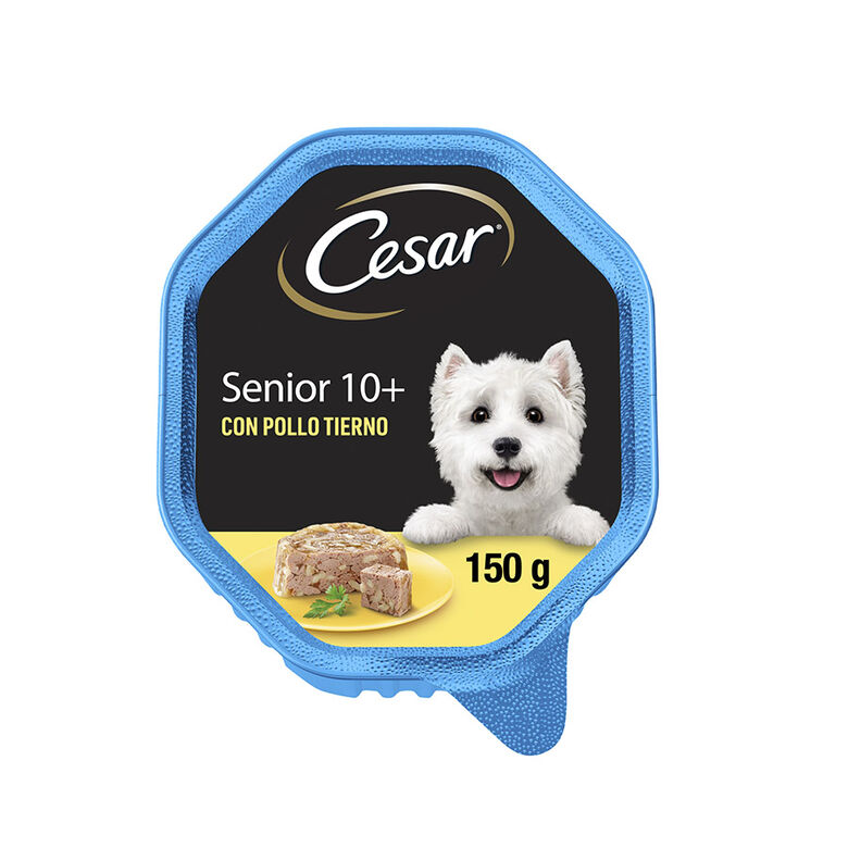 Cesar Pollo y Arroz Tarrina en Gelatina para Perros Senior thumbnail