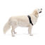 Protector de Codo derecho para Perros con Artrosis, Lesiones, Higromas o Bursitis, , large indicador imagen numero 3