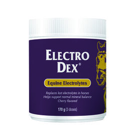 Vetnova ELECTRO DEX® Mini 170 g para caballos