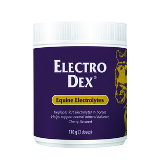 Vetnova ELECTRO DEX® Mini 170 g para caballos