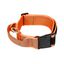 Collar asa de agarre Julius K9 50mm Naranja, , large indicador imagen numero 2