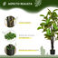 HOMCOM Ficus Artificiales 130 cm Plantas Artificiales con Maceta Plantas Artificiales Decorativas para Interior y Exterior Hogar Salón Oficina Verde, , large indicador imagen numero 4