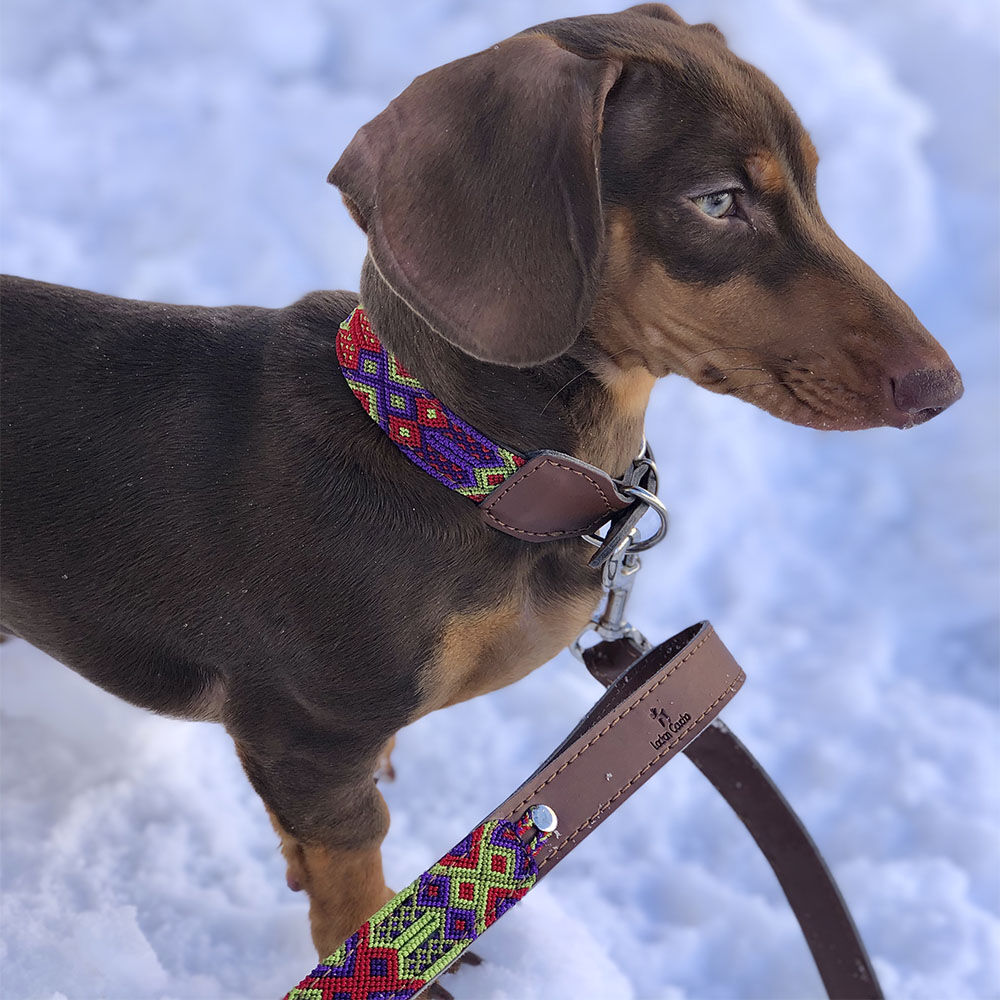 Ladran Gaucho Correa Taco para perros, , large Imagen numero 2