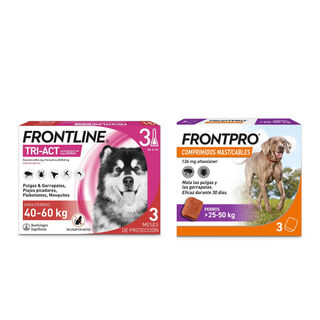 Pack Frontline Tri-Act pipetas + Frontpro comprimidos masticables para perros gigantes