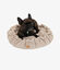 Pet and Co Cama Alfi Crema para Perros, , large indicador imagen numero 2