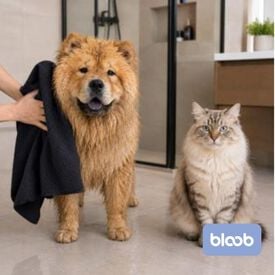 Bloob Toalla Carbono Ionizado  para perros y gatos