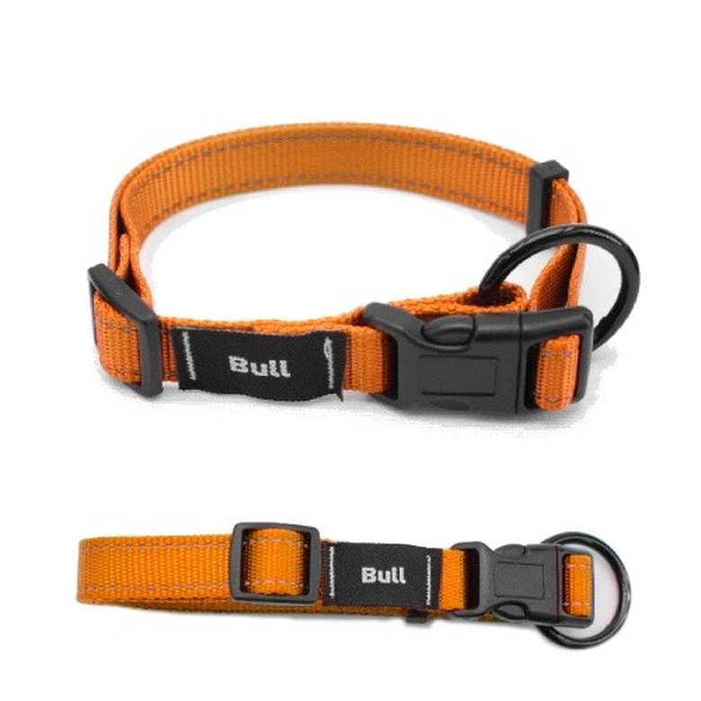 Collar de nylon liso para perros color Naranja, , large image number null