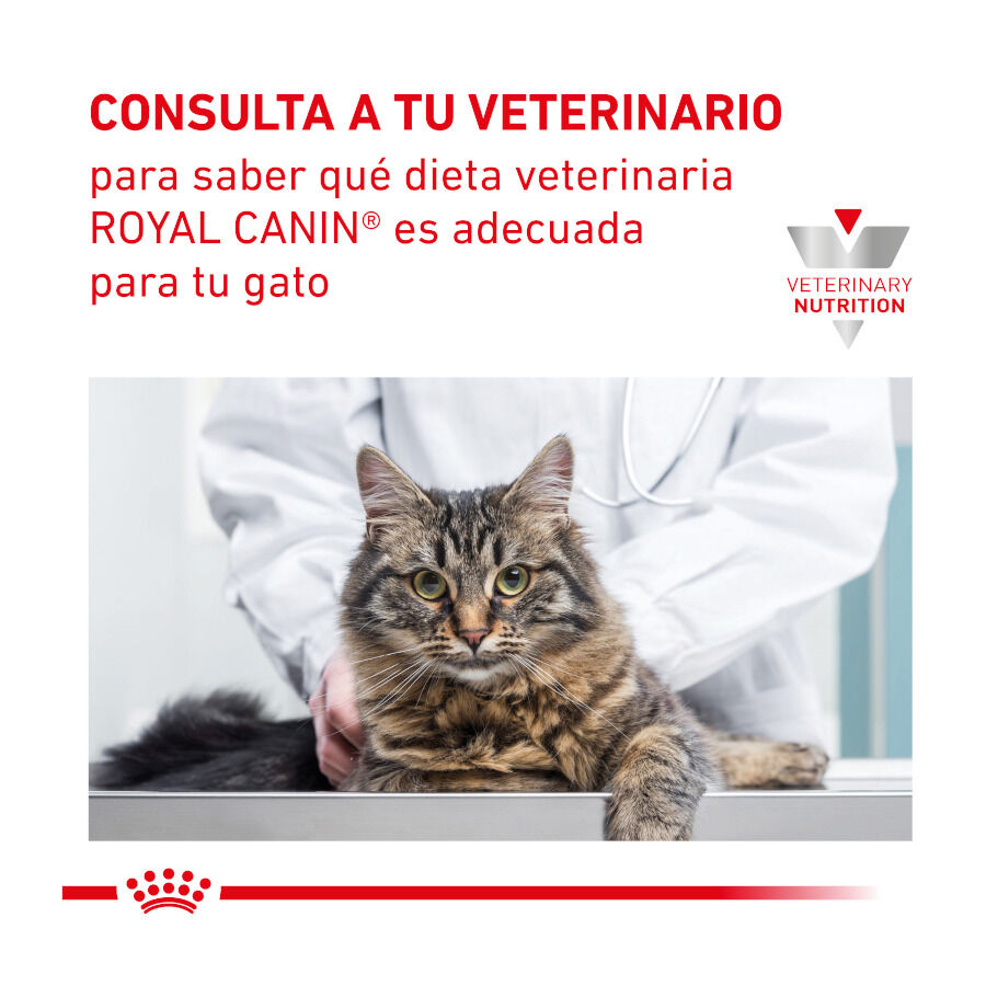 Royal Canin Veterinary Hepatic pienso para gatos thumbnail