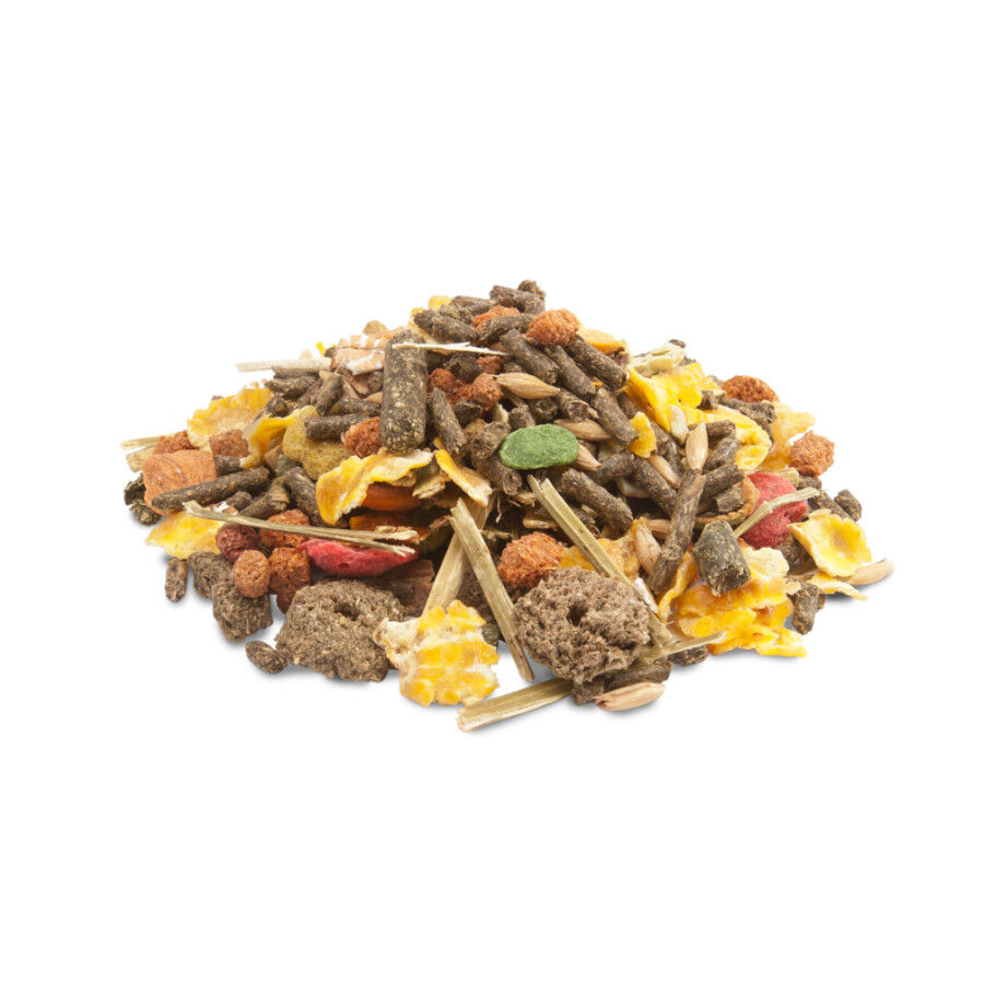 Versele-Laga Crispy Muesli pienso para cobayas thumbnail