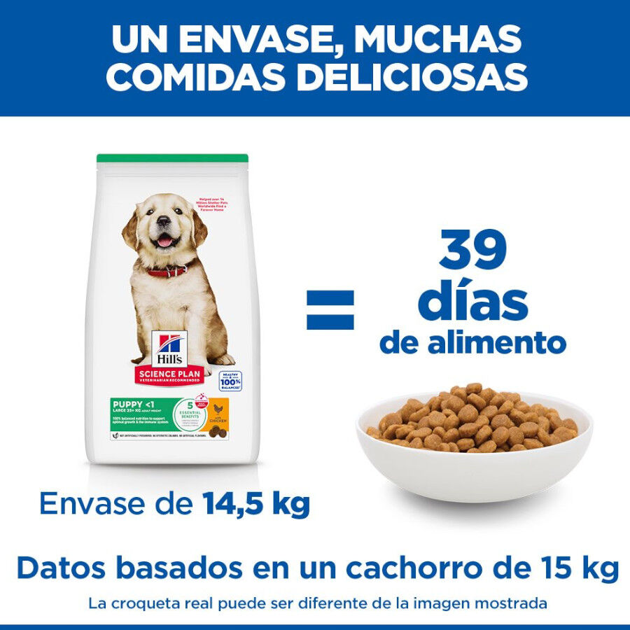 14.5 kg Hill's Science Plan Puppy large Pollo pienso para perros, , large Imagen numero 6