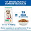 14.5 kg Hill's Science Plan Puppy large Pollo pienso para perros, , large indicador imagen numero 6