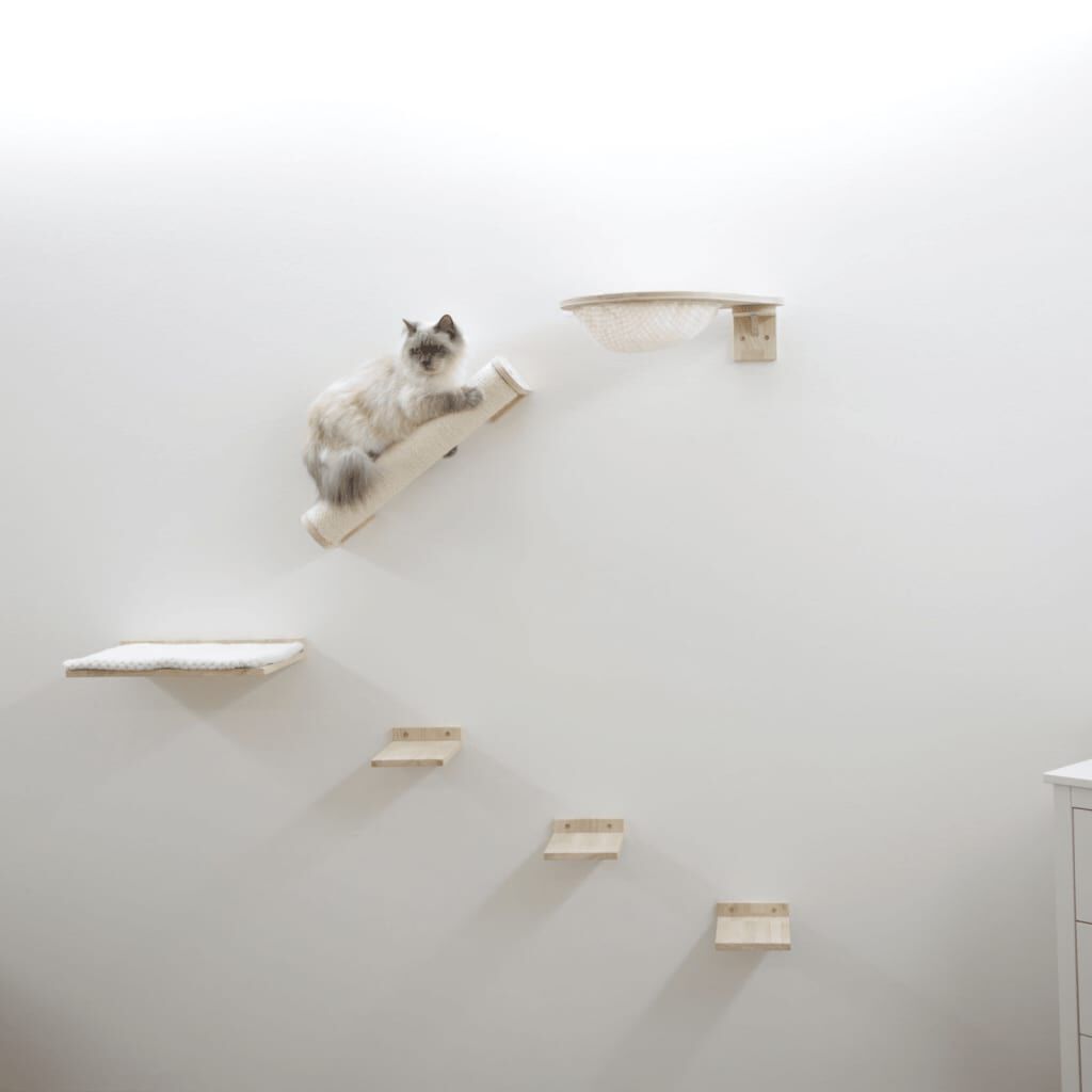 Recorrido Mural Para Gatos, , large Imagen numero 2