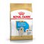 12 kg Royal Canin Puppy Golden Retriever pienso para perros, , large indicador imagen numero 1