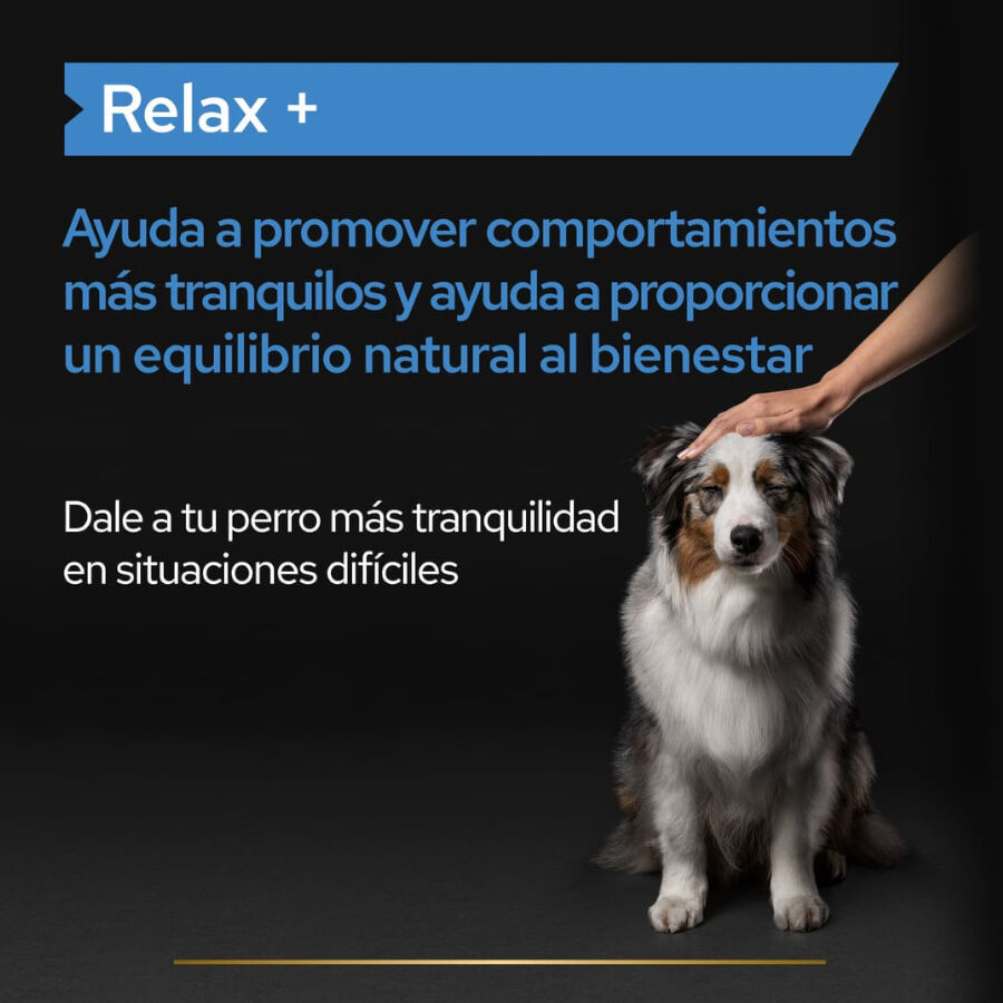 Pro Plan Relax + Suplemento en Aceite para perros thumbnail