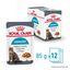 12 sobres x 85 g Royal Canin Urinary Sobre en Salsa para gatos &iexcl;Pack ahorro!, , large indicador imagen numero 1