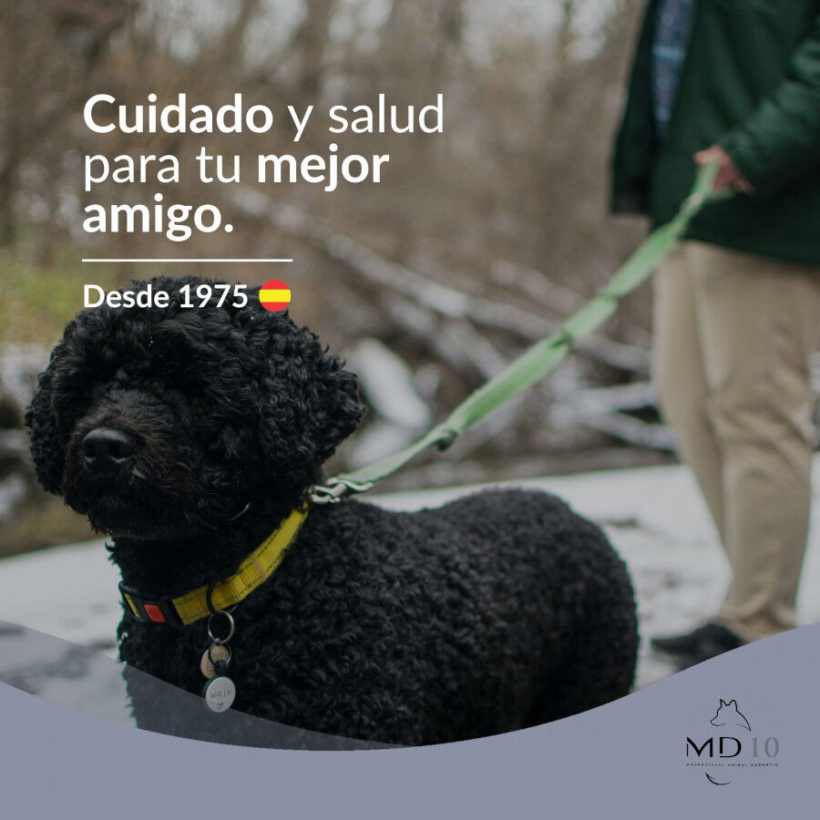 MD-10 Champú Hidratante vegano para perro de Agua Español negro thumbnail