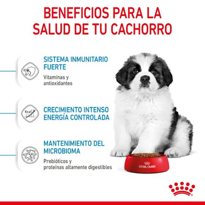 Royal Canin Puppy Giant pienso para perros, , large image number null