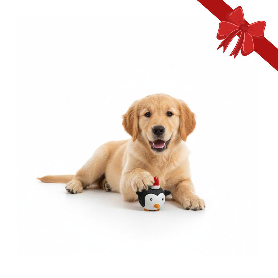 Wonder Christmas Pelota de Pingüino Navideña para perros thumbnail