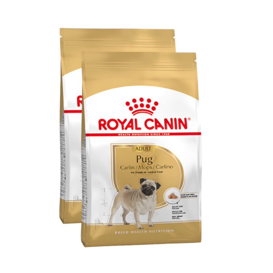 Royal Canin Adult Pug pienso para perros thumbnail