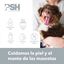 PSH Happy Puppy Pack, , large indicador imagen numero 4