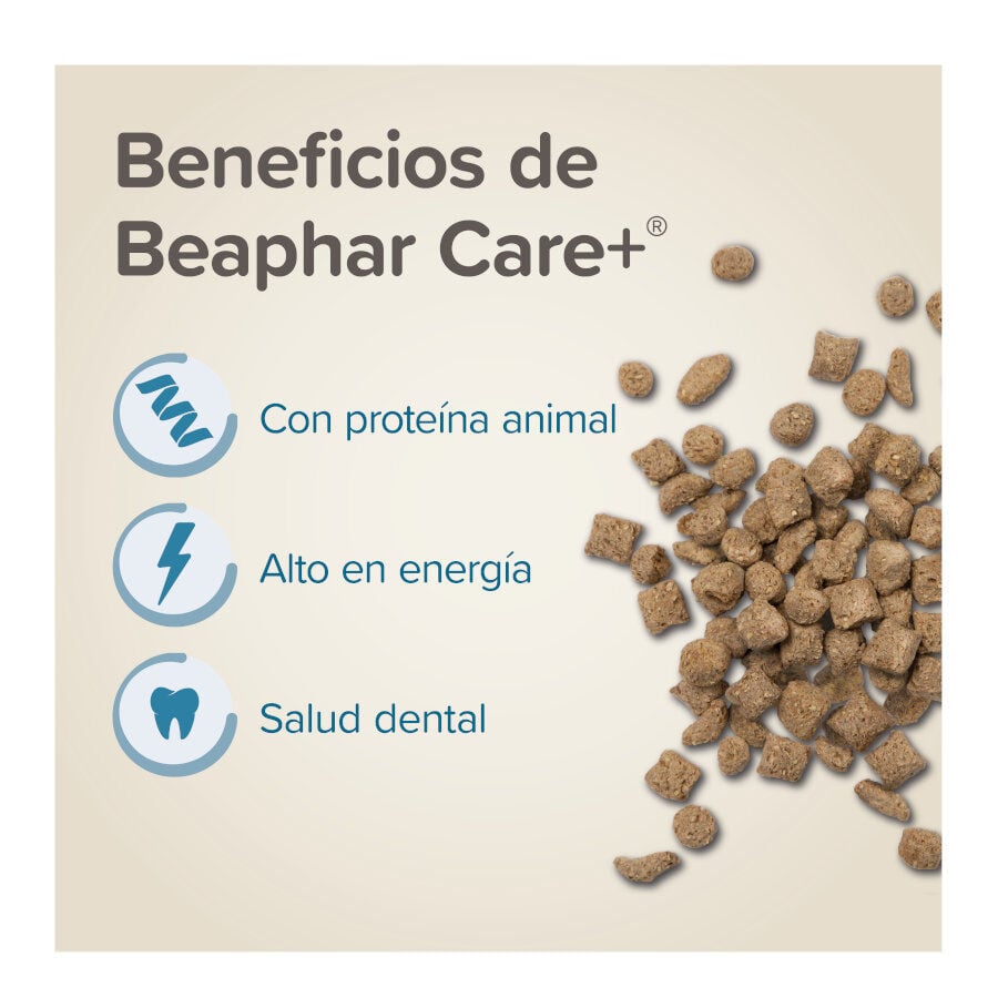 Beaphar Care+ Pienso para hámsteres thumbnail