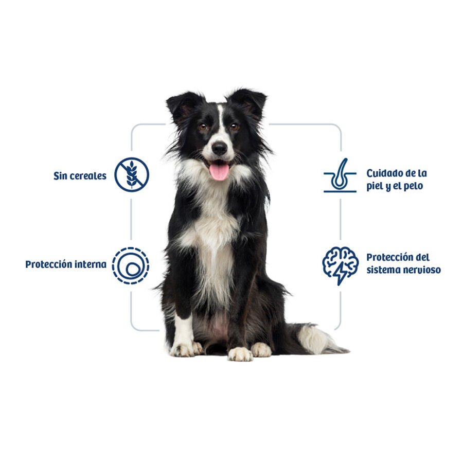 Nath Adult Medium Maxi Sensitive Pescado Blanco y Salmón pienso para perros thumbnail