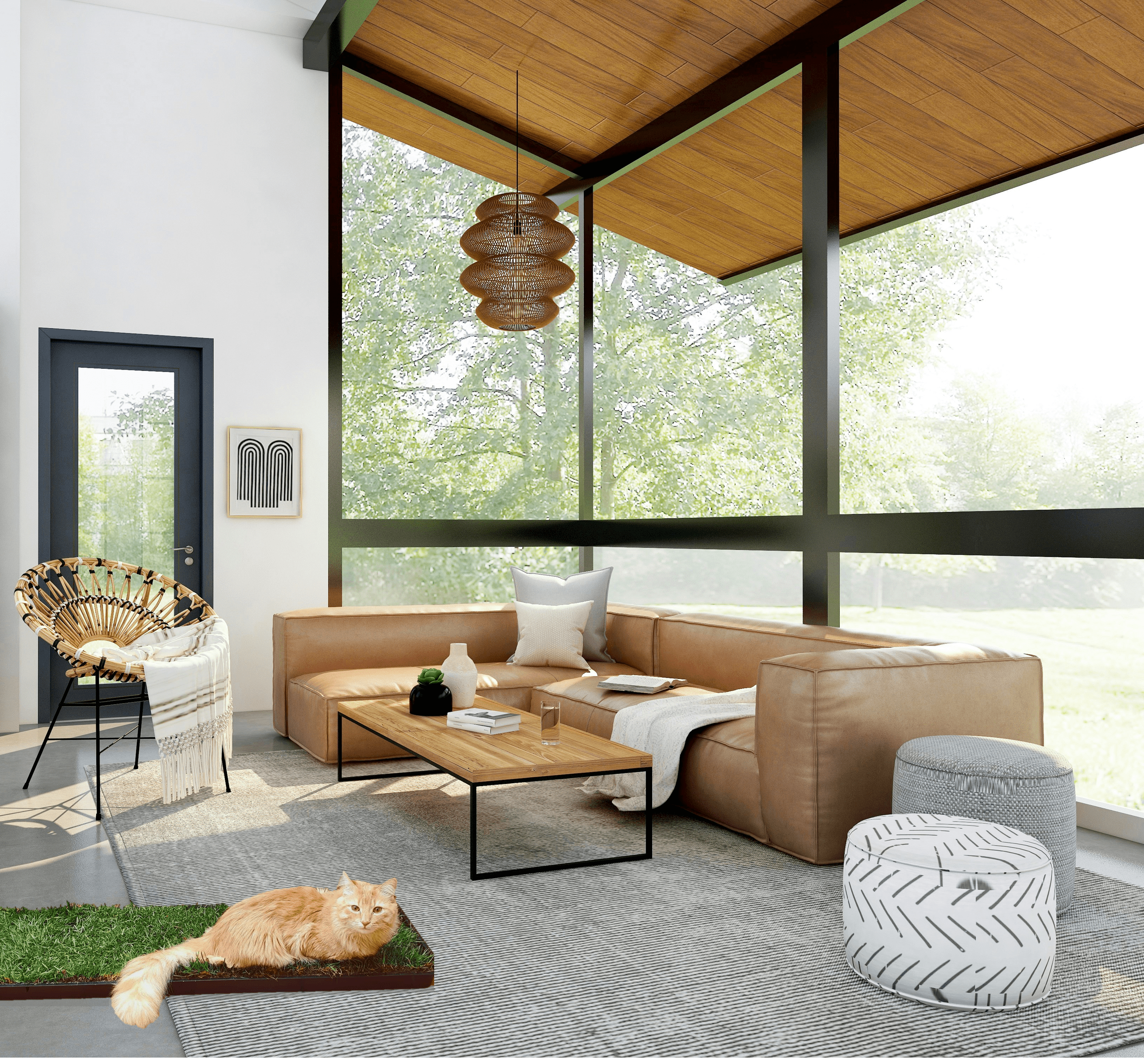 Petground, Arenero para gatos, Cama de C&eacute;sped natural, Hierba gatera, Alfombra olfativa, XXL, , large Imagen numero 5