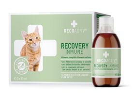 RECOACTIV® Tónico suplemento Recovery Inmune para gatos con poco apetito y debilitados