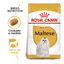 1.5 kg Royal Canin Adult Bichón Maltés pienso para perros, , large indicador imagen numero 2