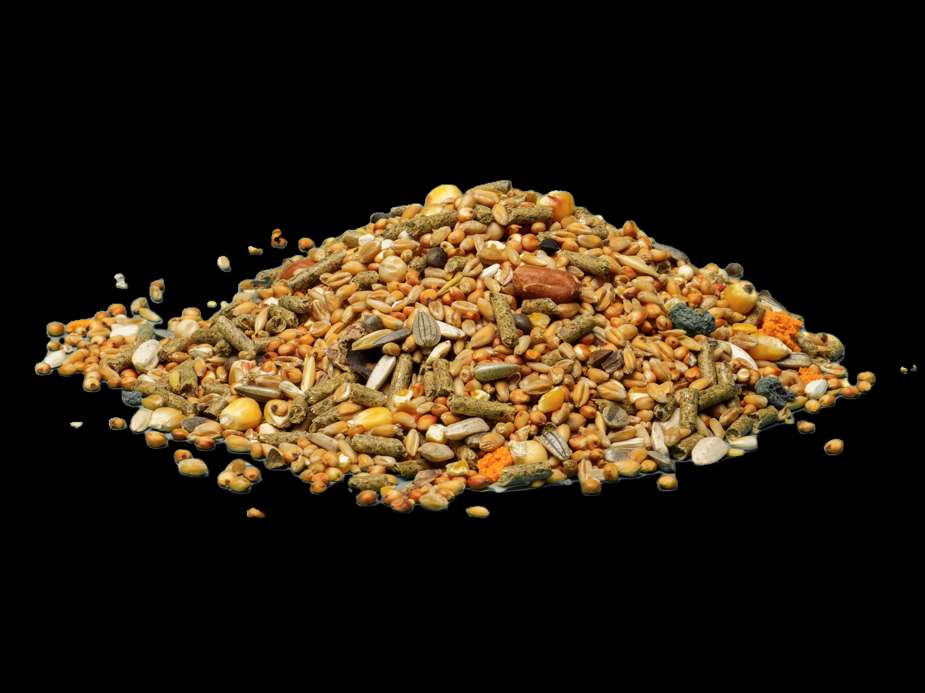 WUAPU ALIMENTO HAMSTER 1 KG, , large Imagen numero 2