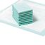 Empapador desechable para Puppy Trainer EMPAPADOR TALLA  M  (10 UNID.), , large indicador imagen numero 1