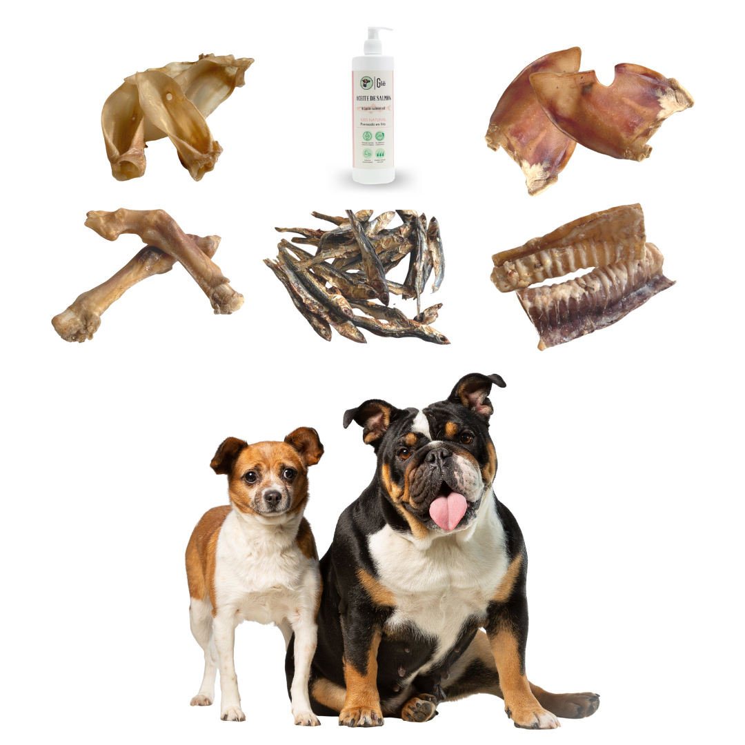 GLE PETS CAJA DE SNACKS NATURALES, REGALOS PARA PERROS, PREMIOS SALUDABLES, 5 BOSLAS VARIADAS + ACEITE DE SALM&Oacute;N PARA PERROS (250 ml) CAJA CORAL, , large Imagen numero 4