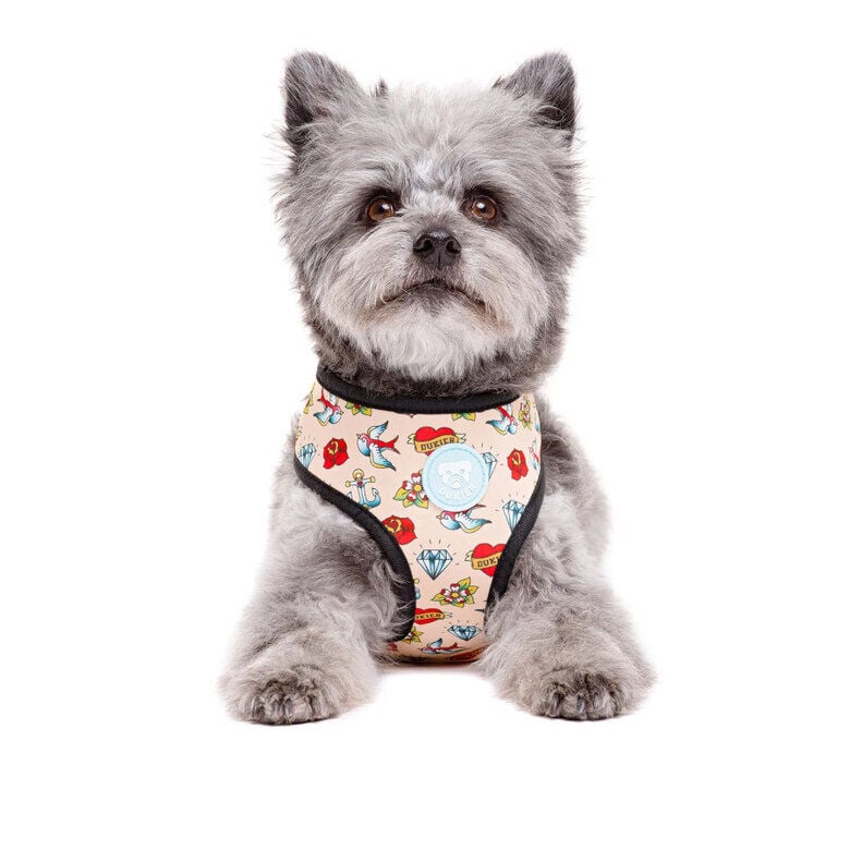 Dukier Arn&eacute;s Reversible Estampado Tattoo para perros, , large Imagen numero 3