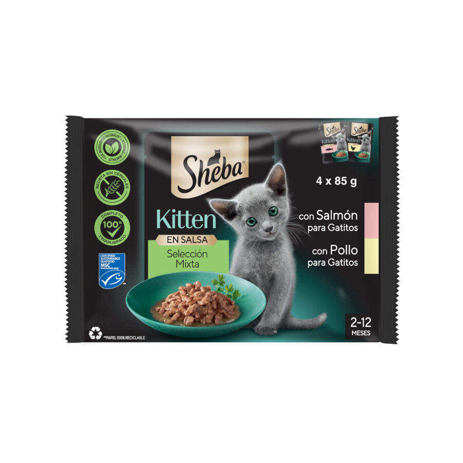 4 sobres x 85 g Sheba Kitten Pollo y Salm&oacute;n Sobre en Salsa para gatos, , large Imagen numero 1