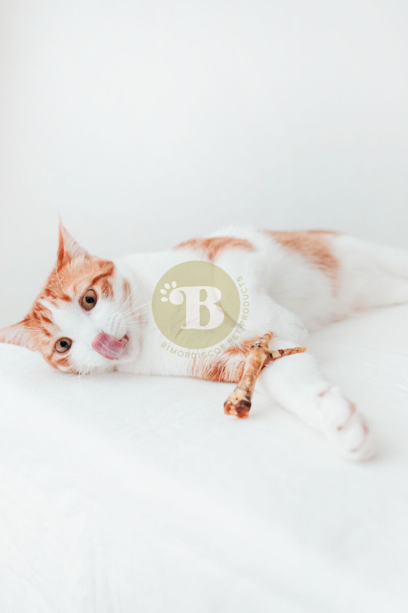 BIMORDISCOS PACK Snacks Naturales de Pollo para Perros, , large Imagen numero 5