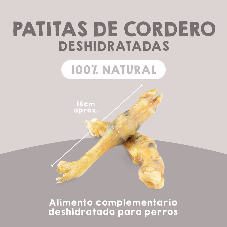Patitas de cordero deshidratadas. Chuches para perros 100% Natural. MAIKAI PETS. 2 UDS., , large Imagen numero 2
