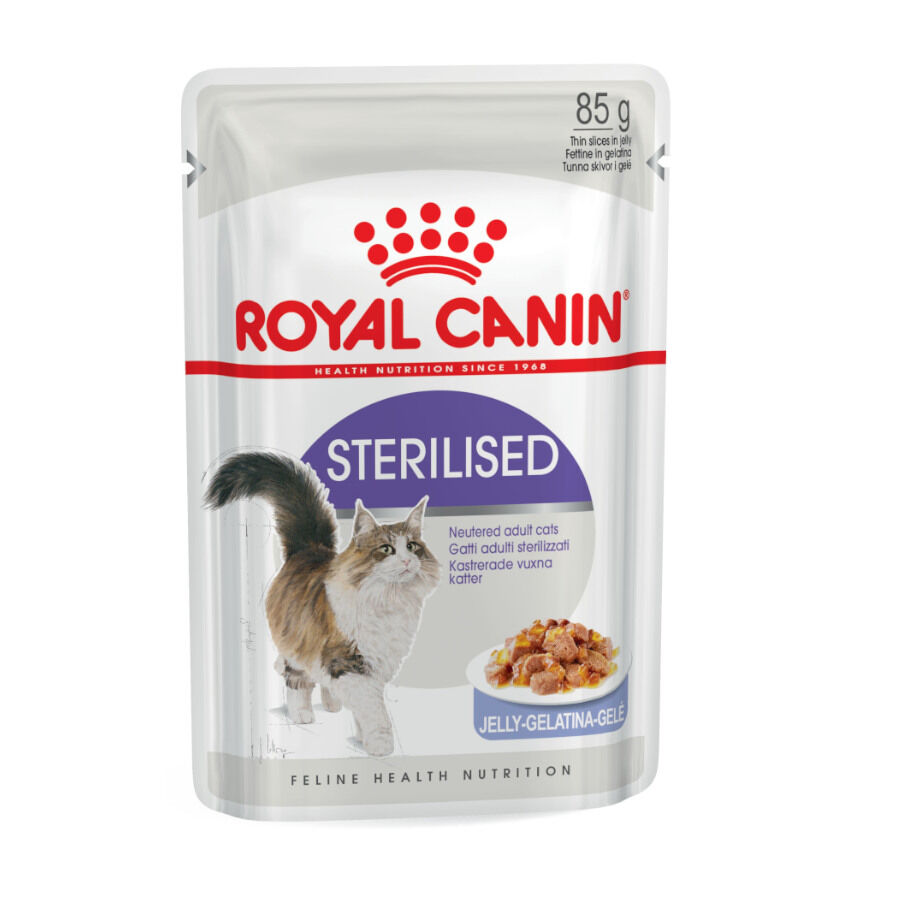 Royal Canin Sterilised gelatina sobres para gato thumbnail
