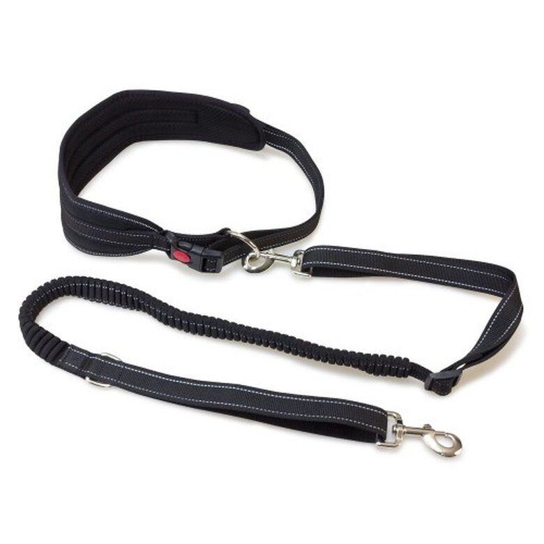 Cinturón con correa para perros color Negro, , large image number null