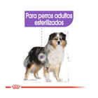 Royal Canin Sterilised Medium pienso para perros, , large image number null